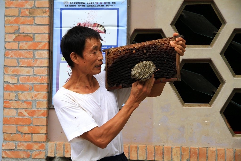 牧蜂農莊生態池
